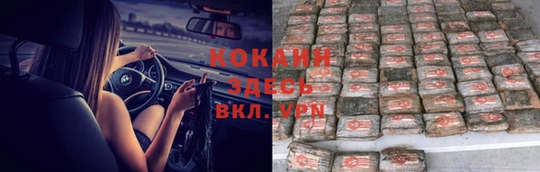 соль ск Новодвинск