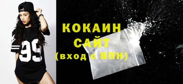 шишки Снежногорск