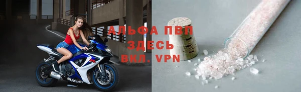 соль ск Новодвинск