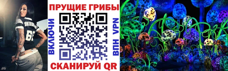 закладка  kraken ТОР  Галлюциногенные грибы Cubensis  Суоярви 
